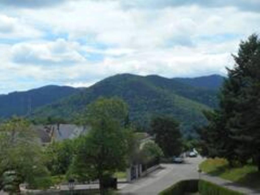 Gite Spacieux, Lumineux Et Tres Cosy Lautenbach Luaran gambar